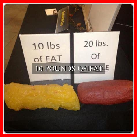 10 POUNDS OF FAT - Wadaef