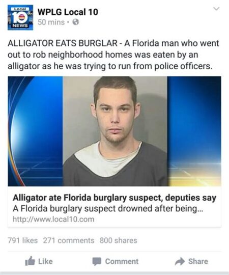 17 july florida man 17 july florida man