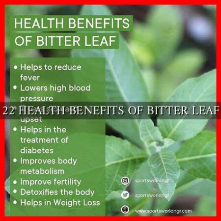 22 HEALTH BENEFITS OF BITTER LEAF 22 HEALTH BENEFITS OF BITTER LEAF