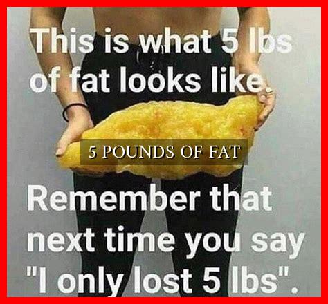 5 POUNDS OF FAT - Wadaef