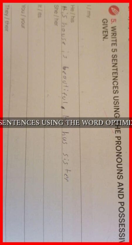 5 SENTENCES USING THE WORD OPTIMIZE