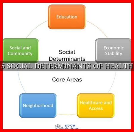 5 SOCIAL DETERMINANTS OF HEALTH