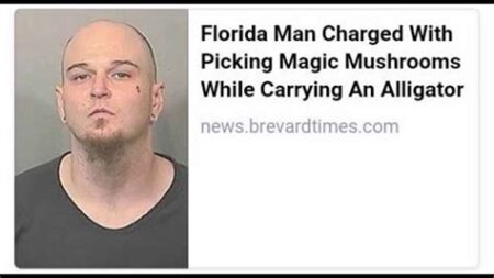 5 may florida man