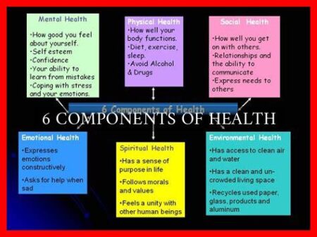 6 COMPONENTS OF HEALTH