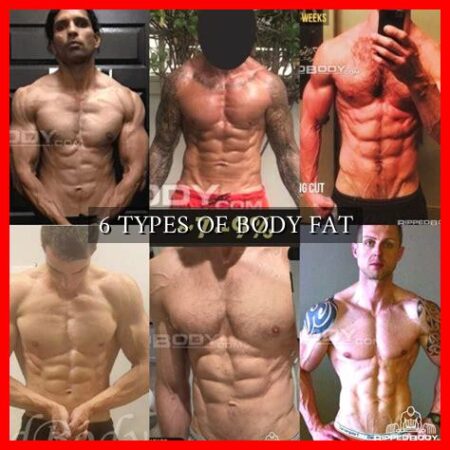 6 TYPES OF BODY FAT