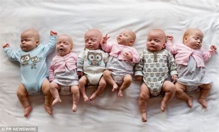 6 babies born at once