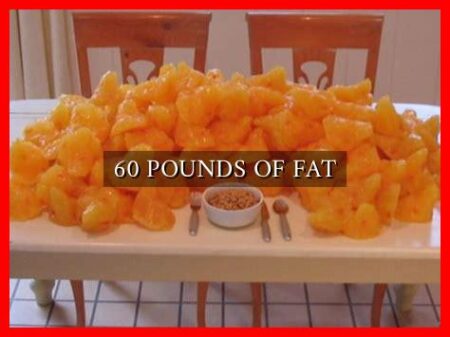 60 POUNDS OF FAT