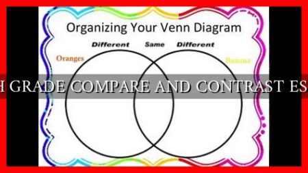 6TH GRADE COMPARE AND CONTRAST ESSAY