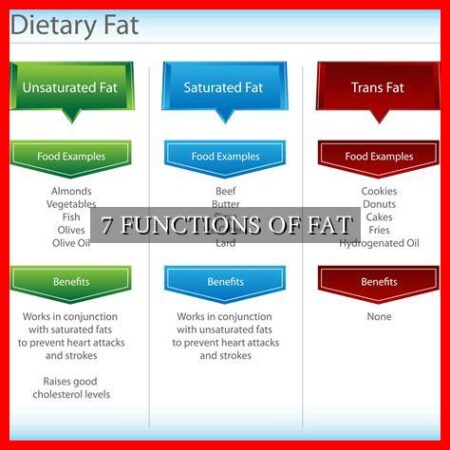 7 FUNCTIONS OF FAT