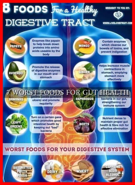 7 WORST FOODS FOR GUT HEALTH