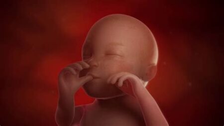 7 months born baby 7 months born baby