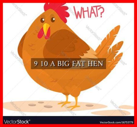 9 10 A BIG FAT HEN