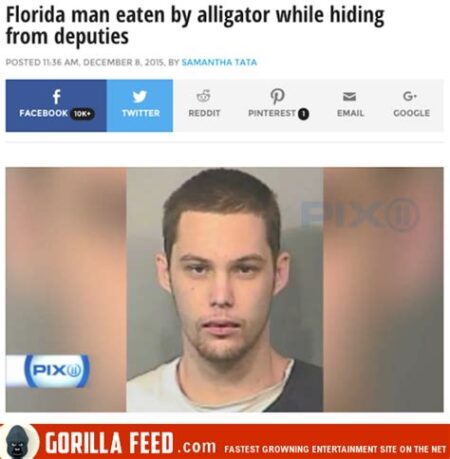 9 december florida man