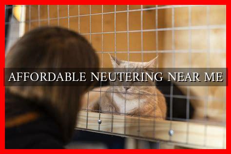 AFFORDABLE NEUTERING NEAR ME - Wadaef