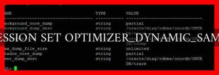 ALTER SESSION SET OPTIMIZER_DYNAMIC_SAMPLING=0