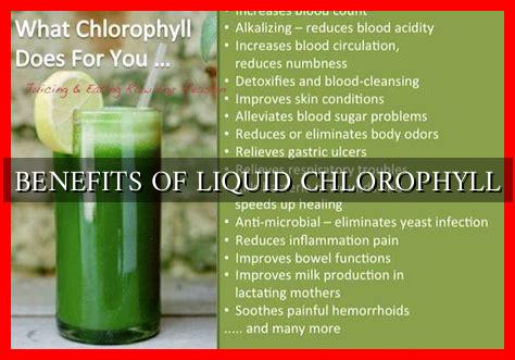 BENEFITS OF LIQUID CHLOROPHYLL BENEFITS OF LIQUID CHLOROPHYLL