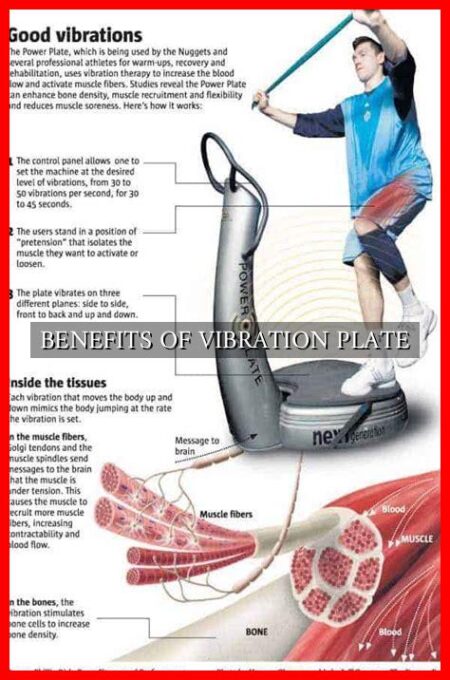 BENEFITS OF VIBRATION PLATE - Wadaef