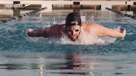 Butterfly crawl side nyt connections