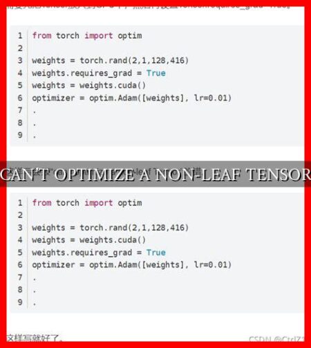 CAN'T OPTIMIZE A NON-LEAF TENSOR