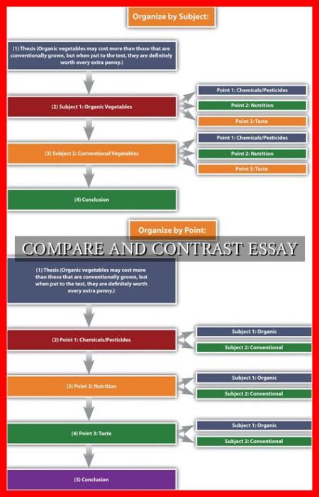 COMPARE AND CONTRAST ESSAY
