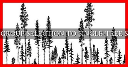 COMPARE GROUP SELECTION TO SINGLE-TREE SELECTION