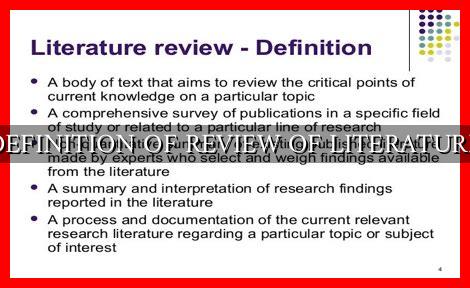 the definition of literature review