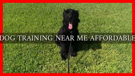 DOG TRAINING NEAR ME AFFORDABLE - Wadaef