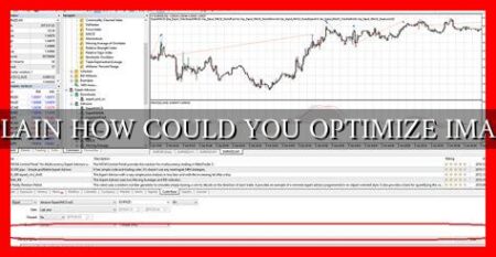 EXPLAIN HOW COULD YOU OPTIMIZE IMAGES EXPLAIN HOW COULD YOU OPTIMIZE IMAGES