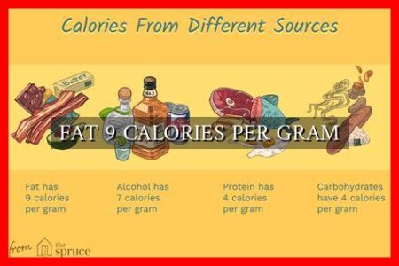 FAT 9 CALORIES PER GRAM