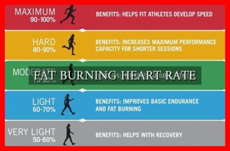 FAT BURNING HEART RATE FAT BURNING HEART RATE