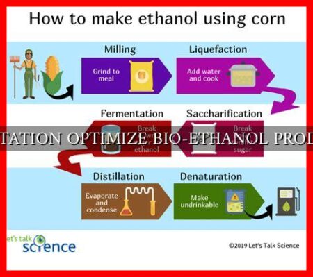 FERMENTATION OPTIMIZE BIO-ETHANOL PRODUCTION