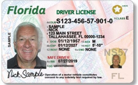 Florida 0220 license Florida 0220 license