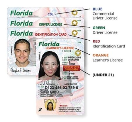 Florida 215 license Florida 215 license
