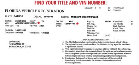 Florida vehicle registration