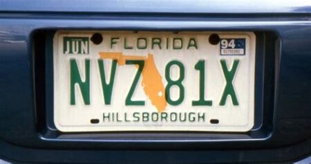 Florida vehicle registration renewal