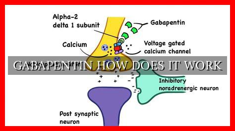 how does gabapentin work on neuropathy