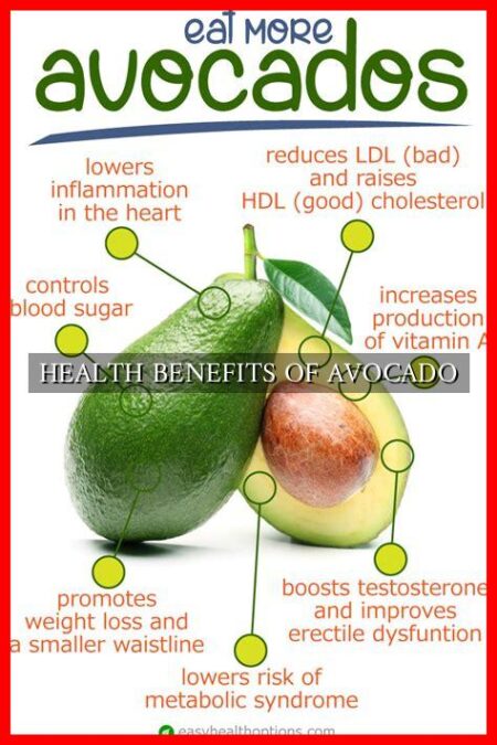 HEALTH BENEFITS OF AVOCADO