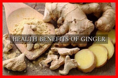HEALTH BENEFITS OF GINGER