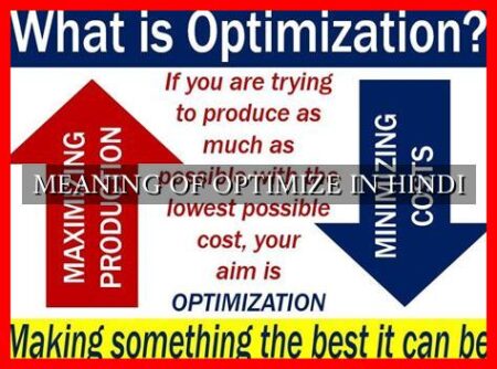MEANING OF OPTIMIZE IN HINDI