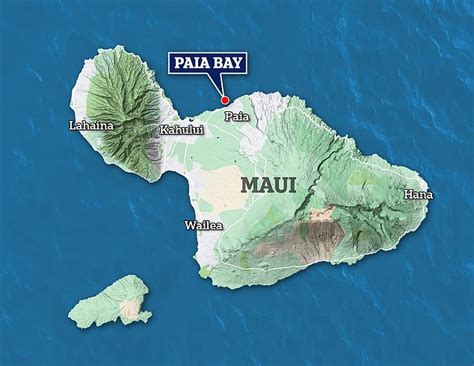 Maui shark attack 2024 – 2025 Maui shark attack 2024 - 2025