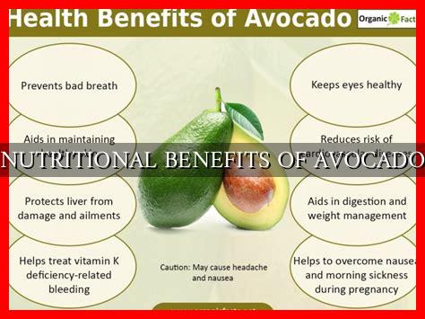 NUTRITIONAL BENEFITS OF AVOCADO - Wadaef