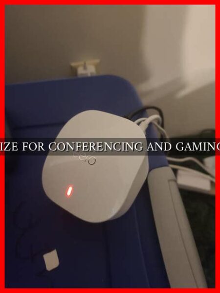 OPTIMIZE FOR CONFERENCING AND GAMING EERO