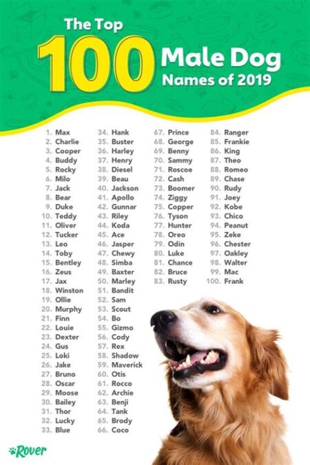 Best Dog Names Male In India