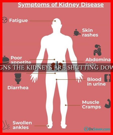 kidney-pain-kidney-pain-location-causes-symptoms-treatment