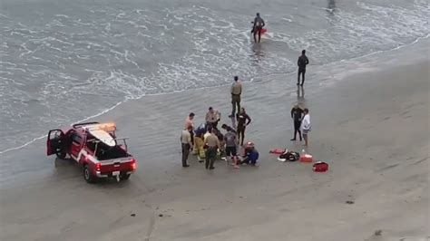 Shark Attack Santa Rosa Beach - Wadaef