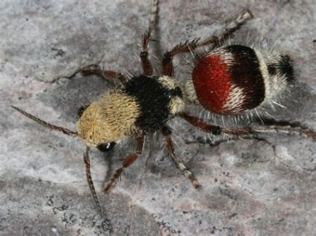 Sting burn ache nyt connections Sting burn ache nyt connections