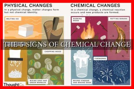 THE 5 SIGNS OF CHEMICAL CHANGE - Wadaef