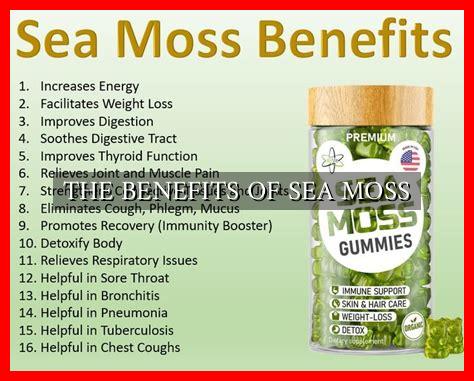 THE BENEFITS OF SEA MOSS - Wadaef