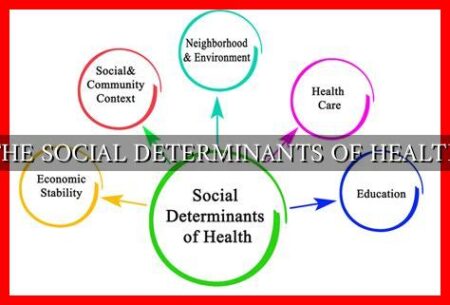 THE SOCIAL DETERMINANTS OF HEALTH