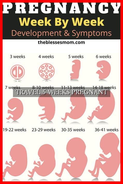 TRAVEL 5 WEEKS PREGNANT - Wadaef